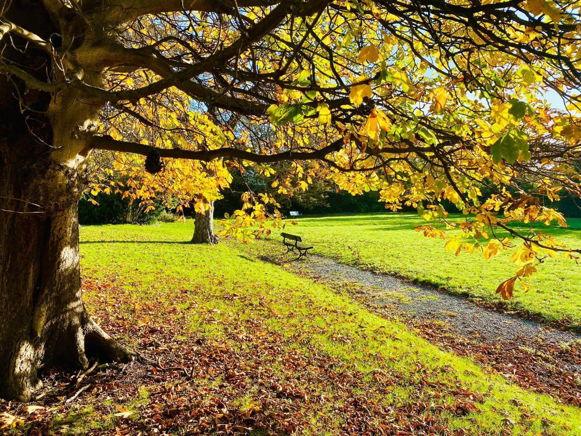 Endsleigh Park Hotel Kingston upon Hull Luaran gambar